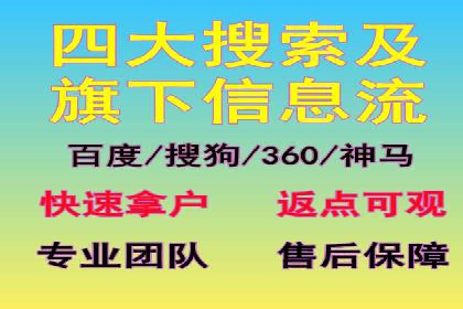 行业领先企业的SEM运营策略案例解析